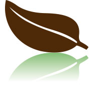 Benessere Globale Logo